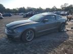 Lot #3306175207 2013 FORD MUSTANG