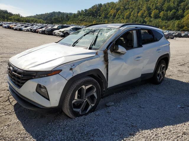 Global Auto Auctions: 2022 HYUNDAI TUCSON LIM