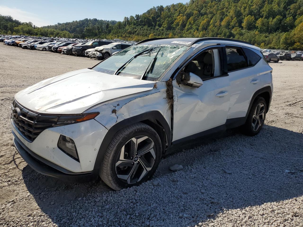 HYUNDAI TUCSON LIMITED