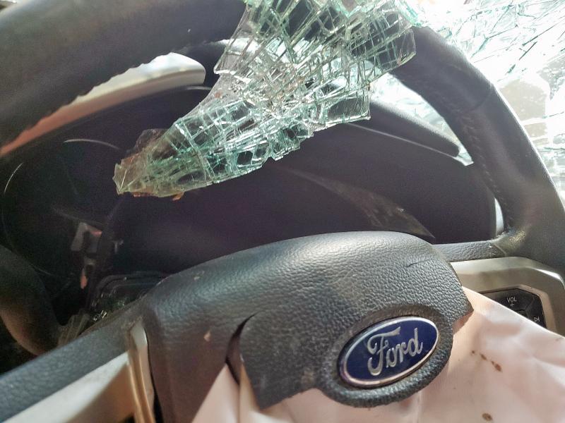 2020 FORD F150 SUPER 1FTEW1E53LKE69123