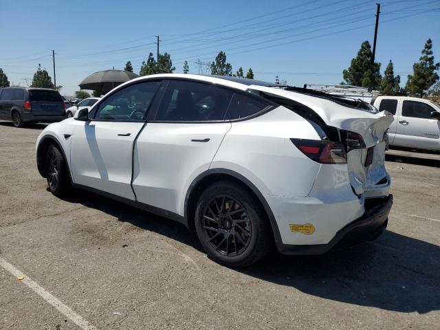 2022 TESLA MODEL Y 7SAYGAEE1NF490744