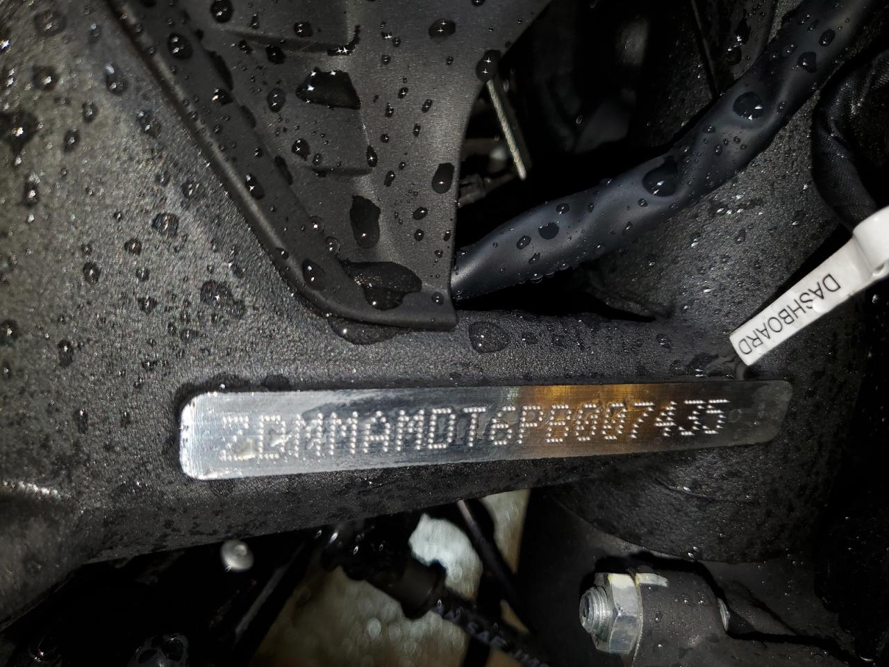 Lot #3309256618 2023 DUCATI MONSTER