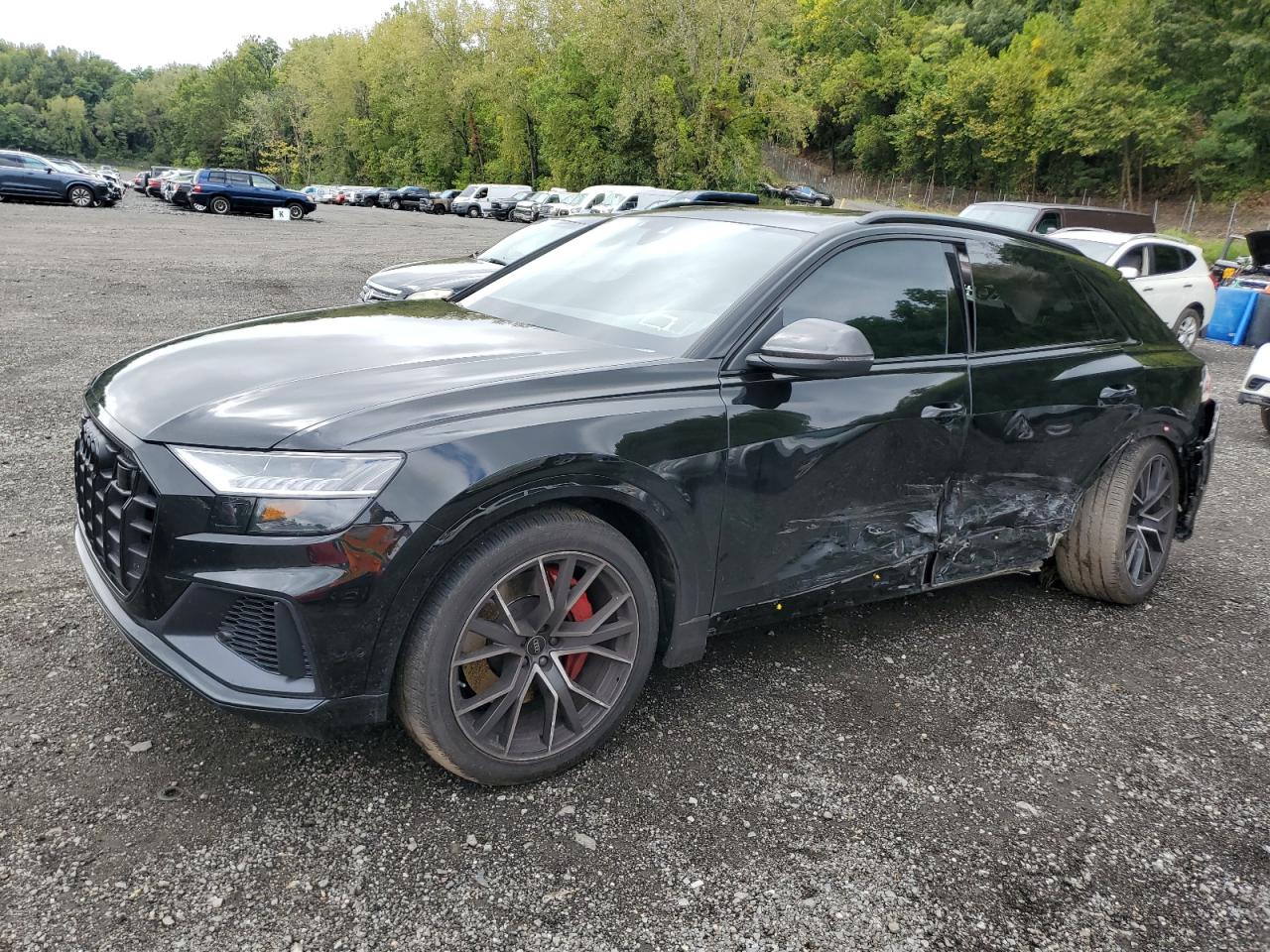 AUDI SQ8 PREMIUM PLUS