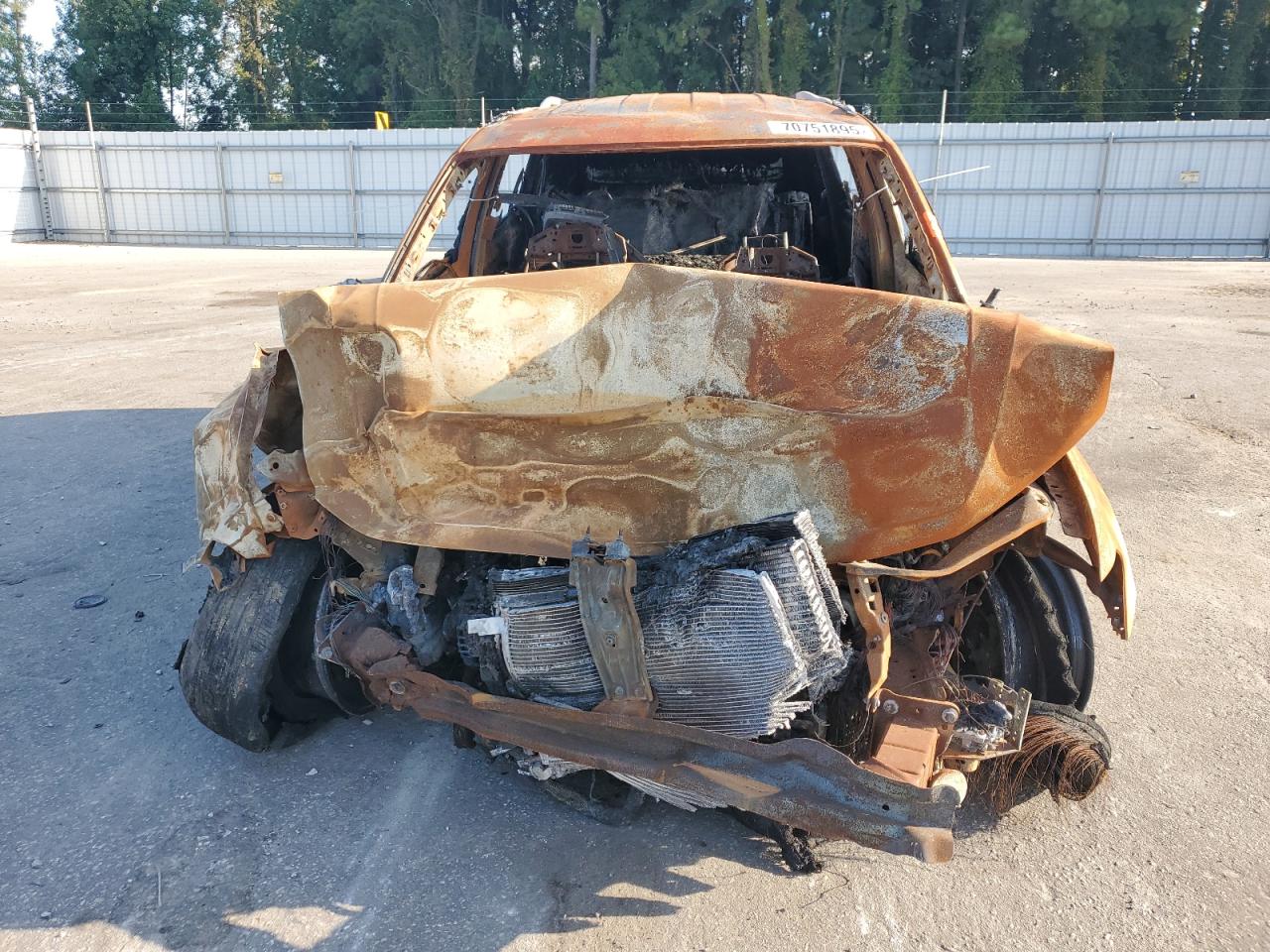 VOLKSWAGEN TIGUAN SE