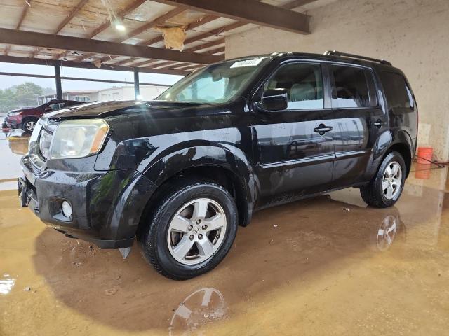 Global Auto Auctions: 2011 HONDA PILOT EXL