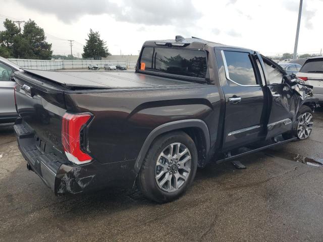 2025 TOYOTA TUNDRA CRE 5TFMC5DB4SX094119