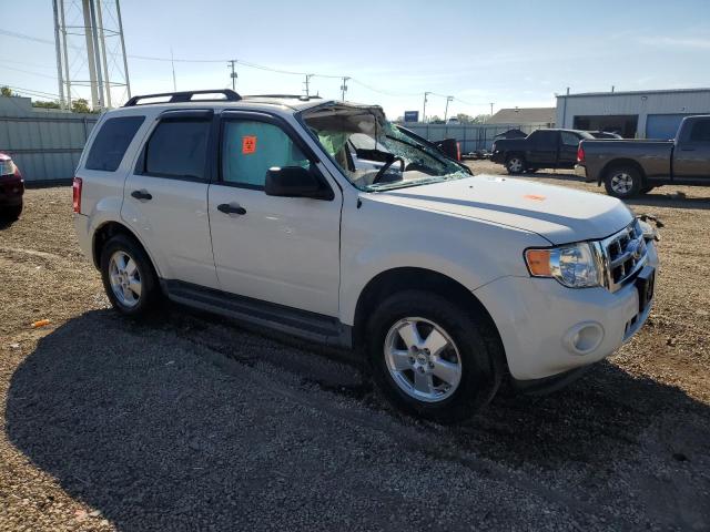 2011 FORD ESCAPE XLT - 1FMCU0DG1BKB95991