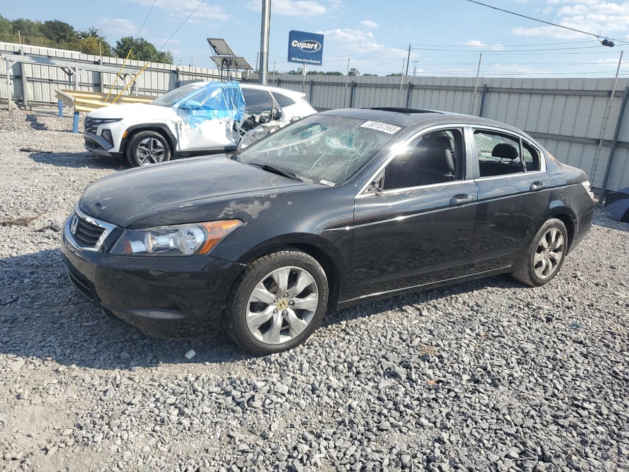 HONDA ACCORD EXL