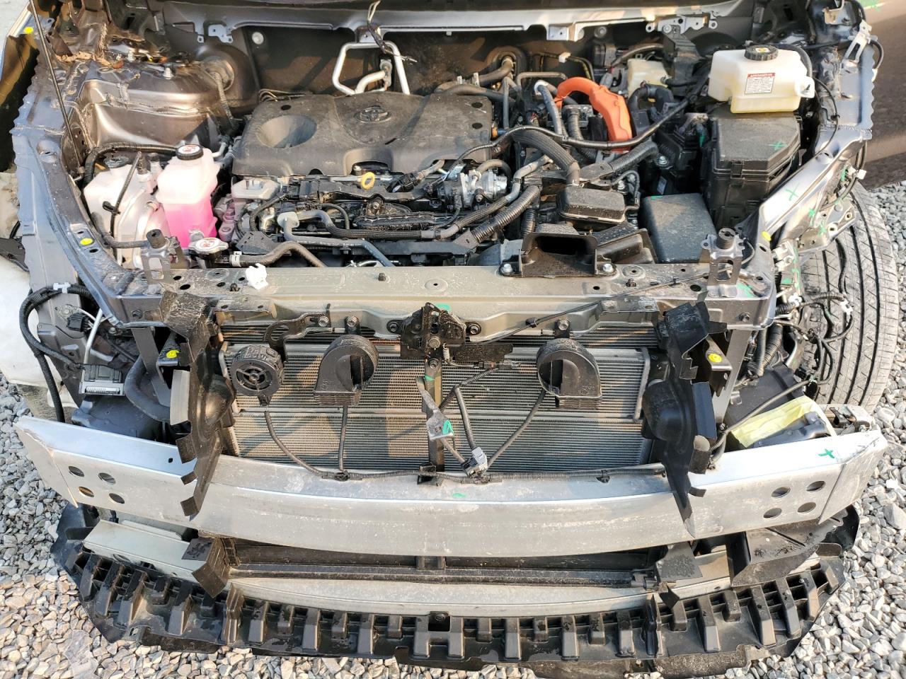 TOYOTA SIENNA LIMITED