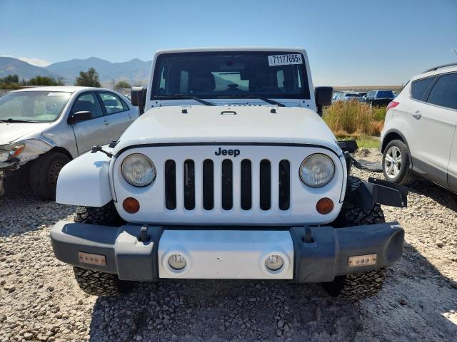2012 JEEP WRANGLER U - 1C4BJWEG9CL271267