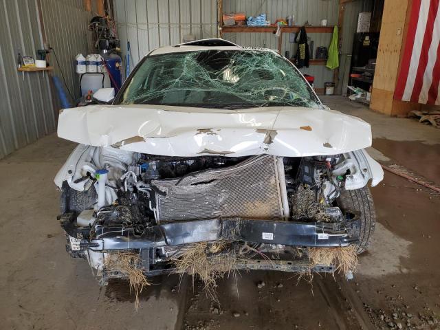 2025 HYUNDAI ELANTRA LI KMHLP4DG4SU026972