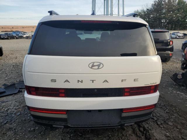 2025 HYUNDAI SANTA FE L 5NMP3DG18SH065449