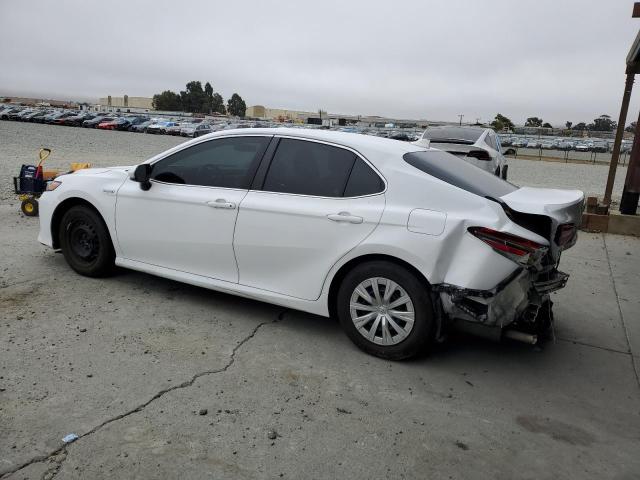 2019 TOYOTA CAMRY LE 4T1B31HK3KU516131