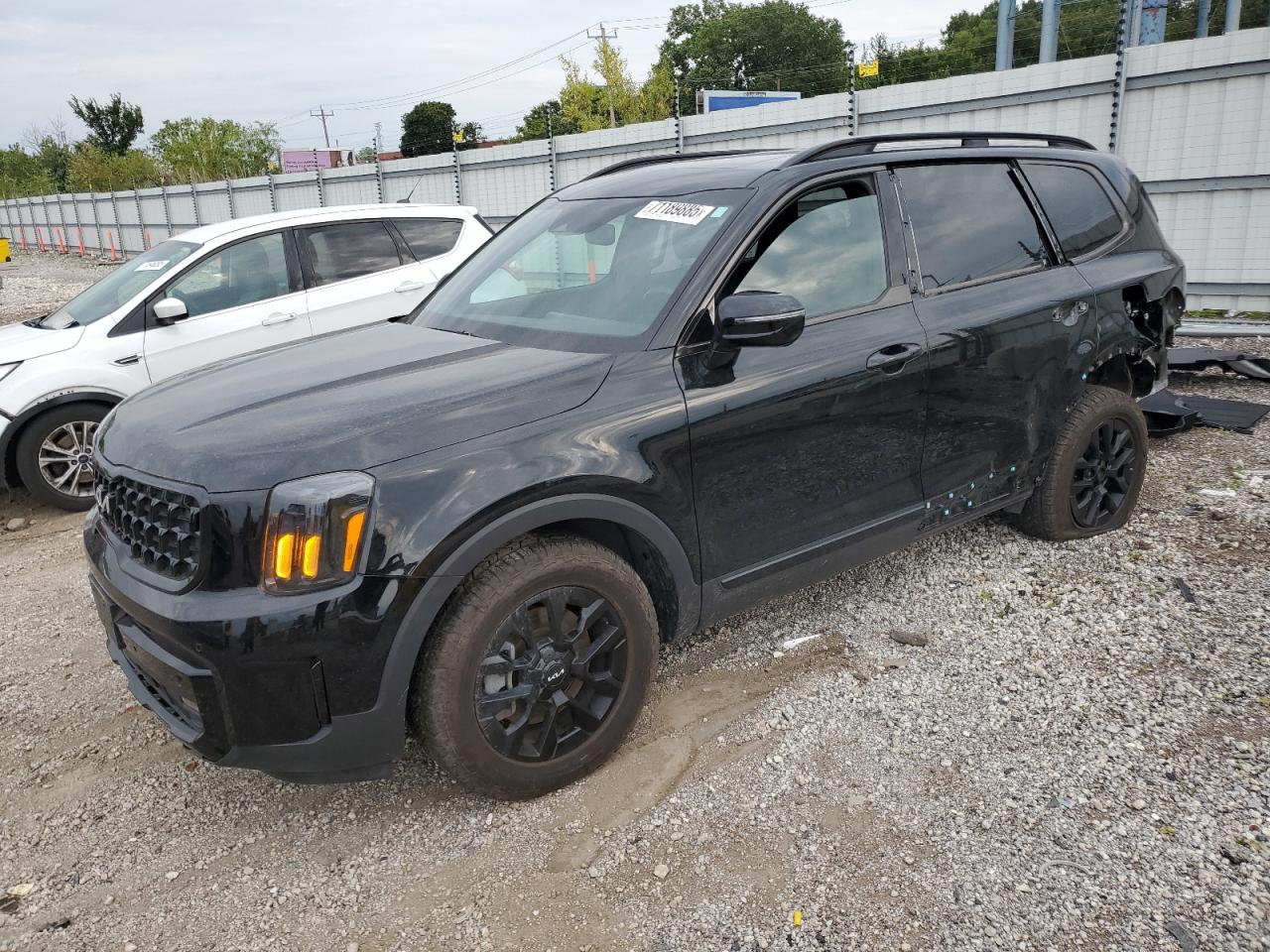 Lot #3291377134 2024 KIA TELLURIDE