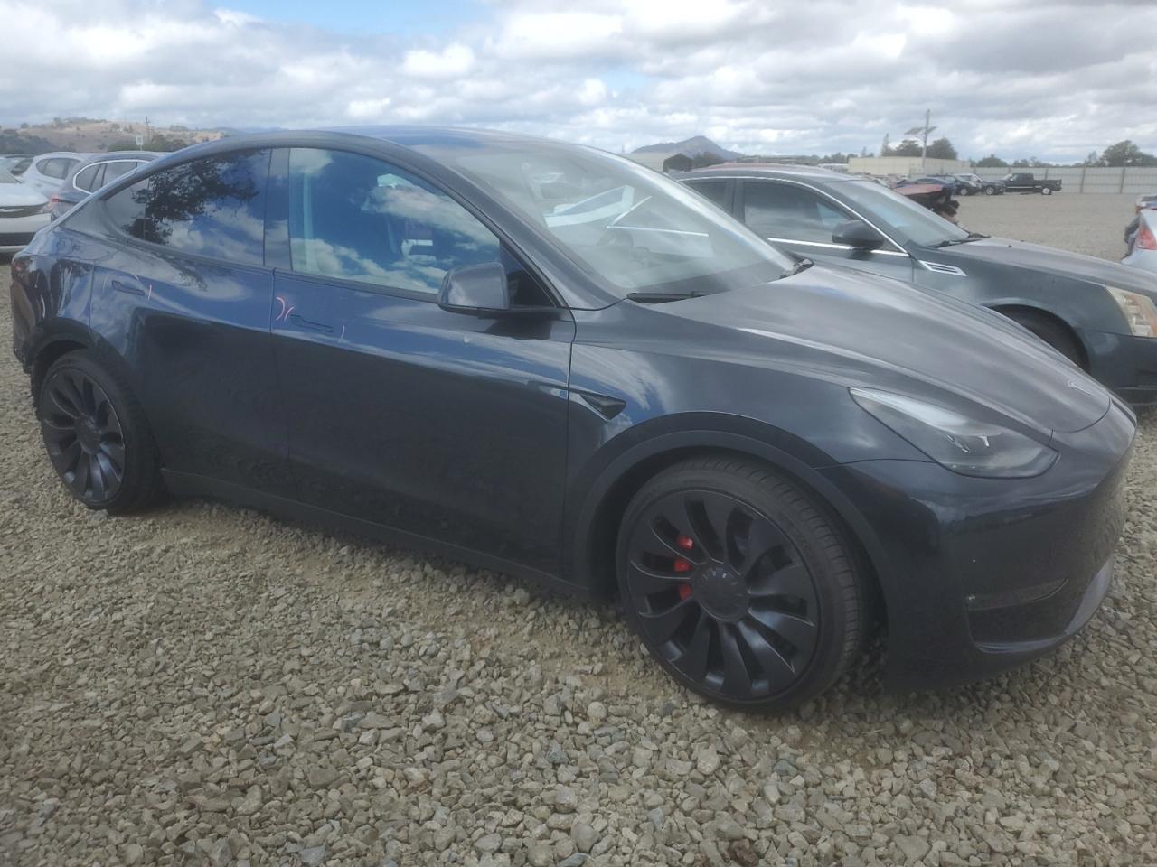 TESLA MODEL Y