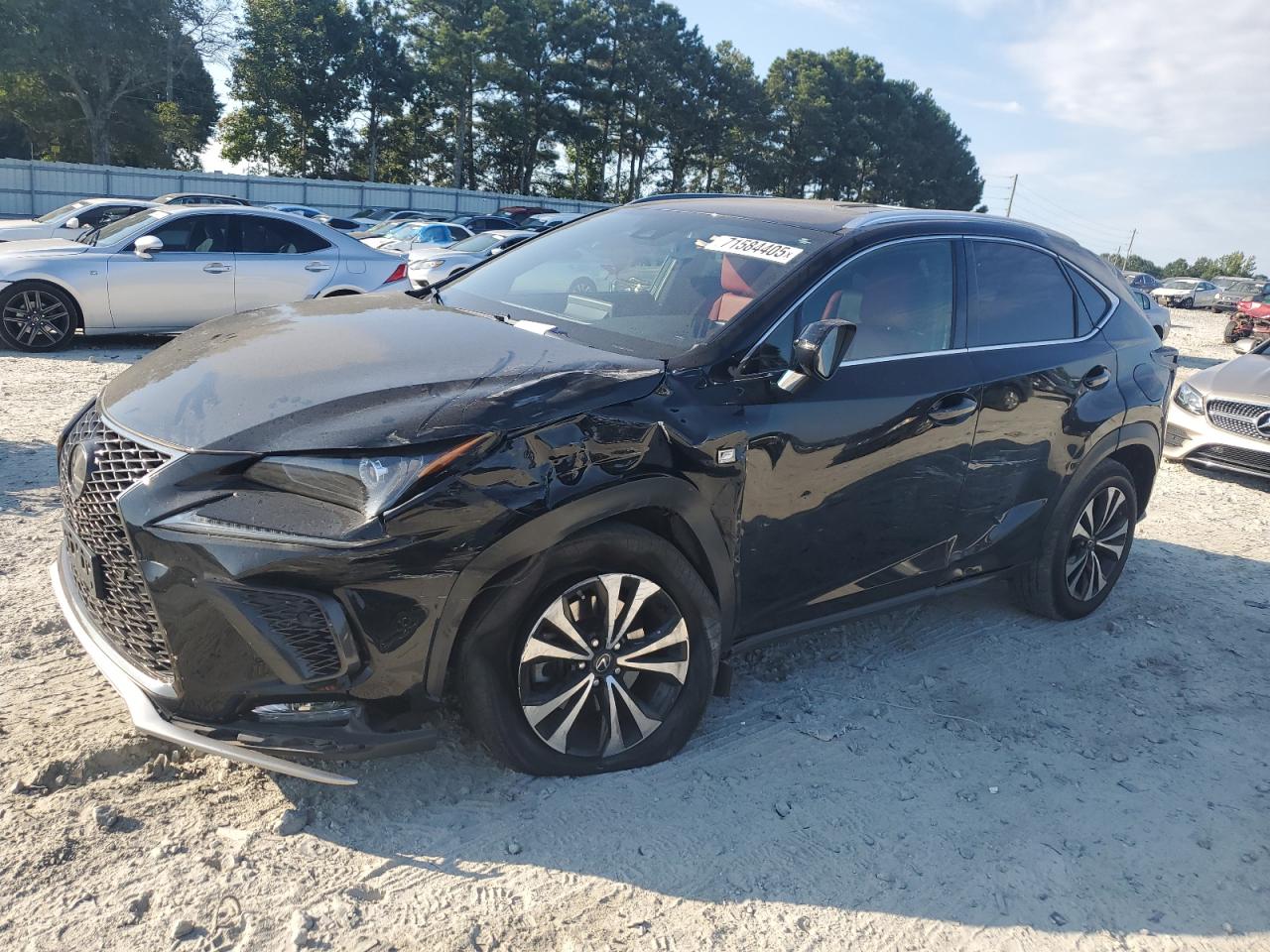 LEXUS NX 300 F SPORT