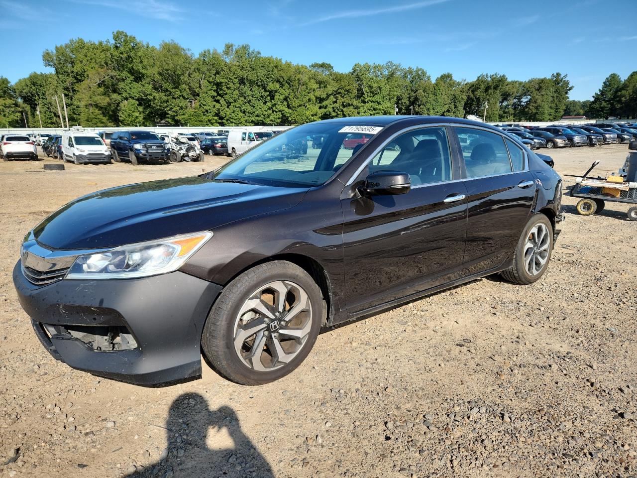 HONDA ACCORD EX