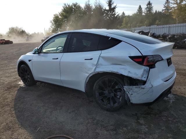 2021 TESLA MODEL Y 5YJYGDEE5MF067517
