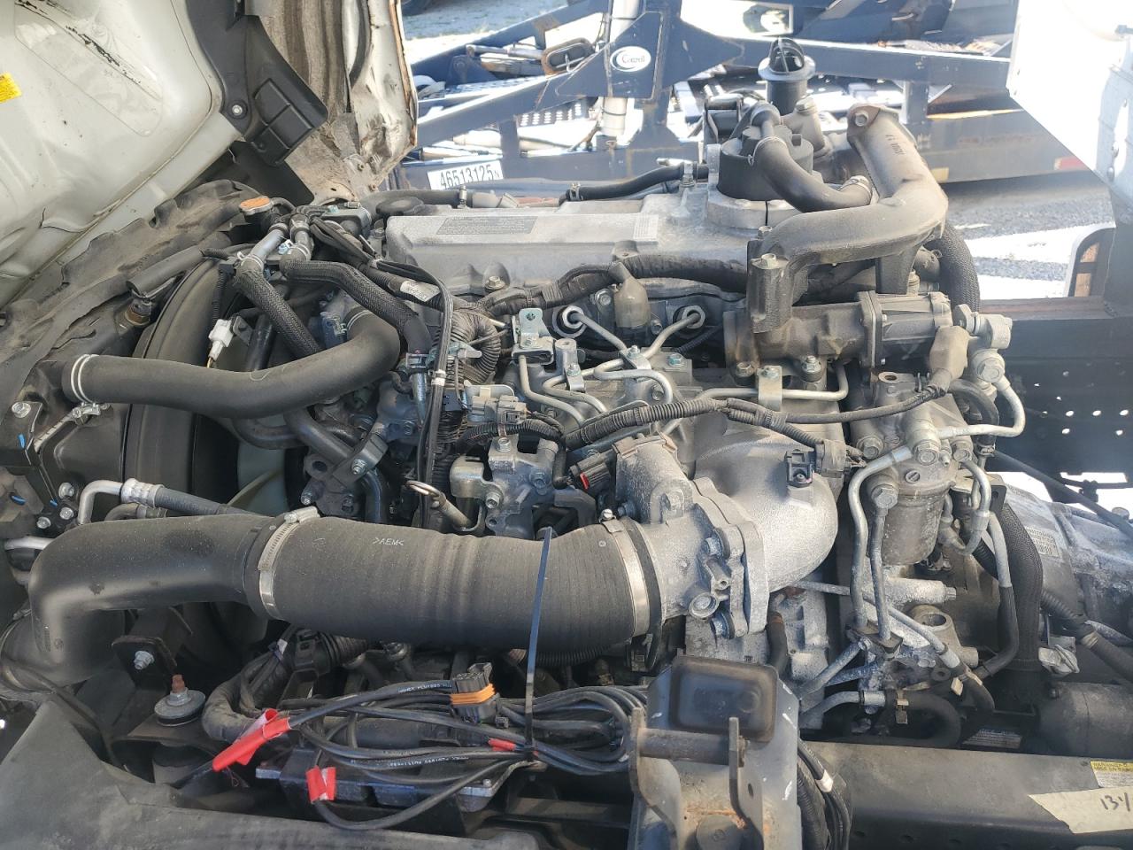 Lot #3280480127 2023 ISUZU NQR