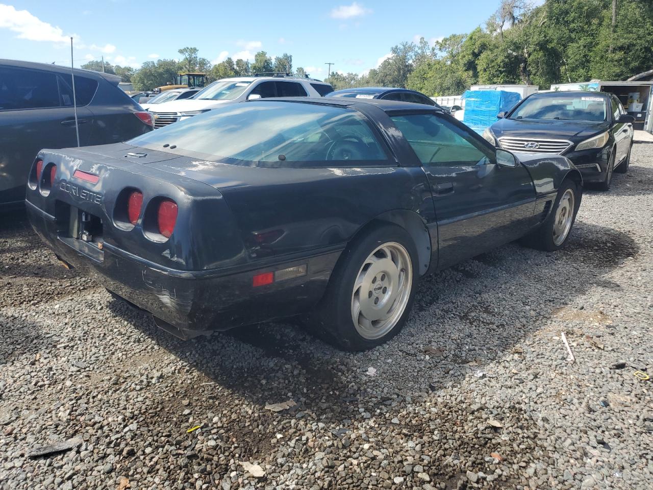 Lot #3255386437 1995 CHEVROLET CORVETTE