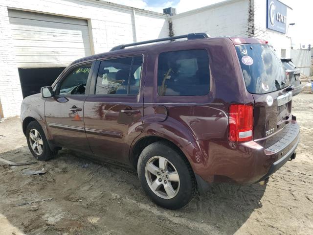 2010 HONDA PILOT EXL - 5FNYF4H63AB001549