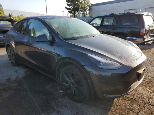 2024 TESLA MODEL Y 7SAYGDED2RF103181