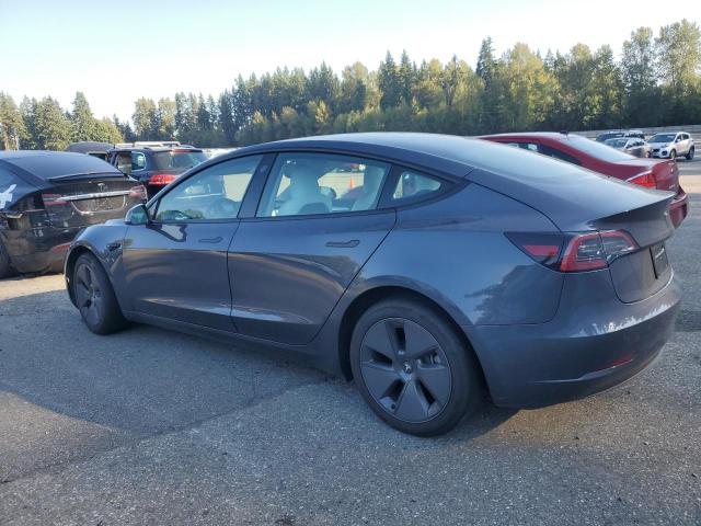 2023 TESLA MODEL 3 5YJ3E1EA1PF624259