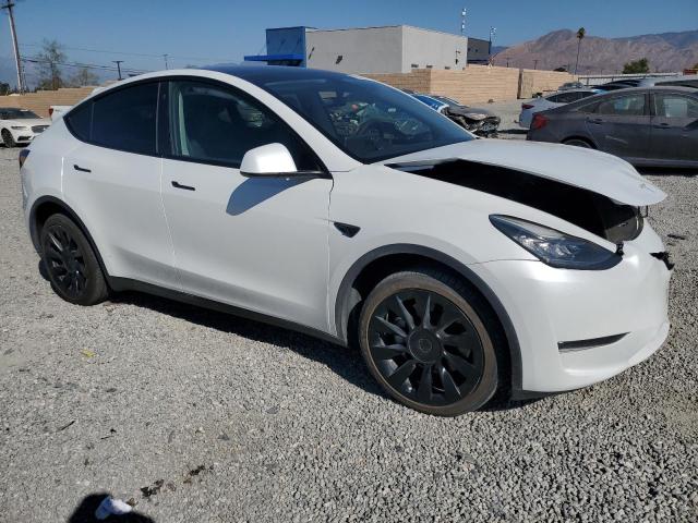 2023 TESLA MODEL Y - 7SAYGDEE0PA110021