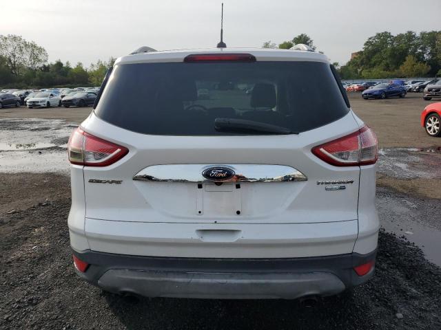2014 FORD ESCAPE TIT - 1FMCU9J92EUA49604