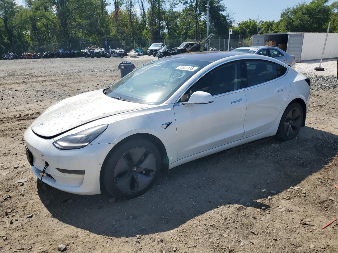 Lot #3237016214 2019 TESLA MODEL 3