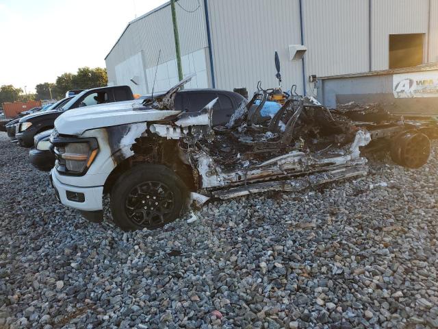 2024 FORD F150 XLT - 1FTEW3KP8RKD79184