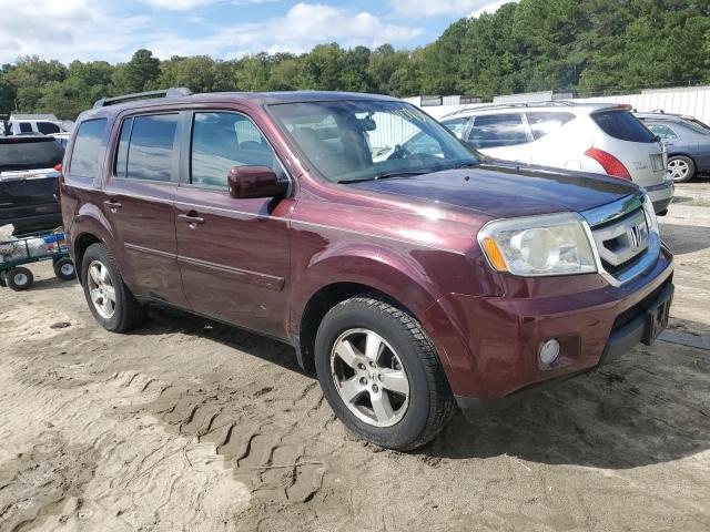 2010 HONDA PILOT EXL - 5FNYF4H63AB001549