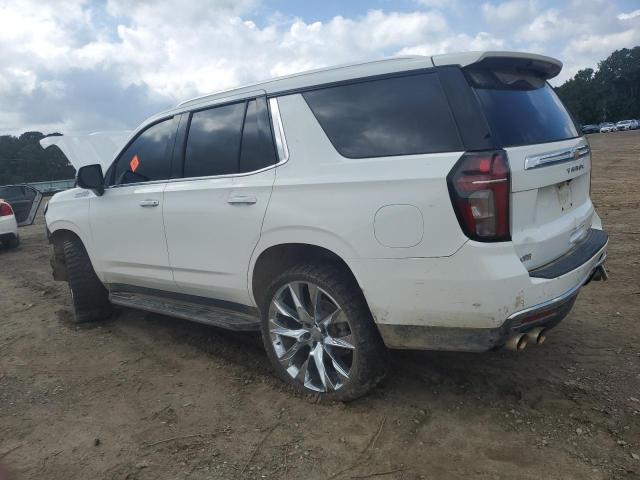 2023 CHEVROLET TAHOE K150 - 1GNSKSKD7PR482848
