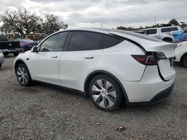 2020 TESLA MODEL Y 5YJYGDEE3LF023952
