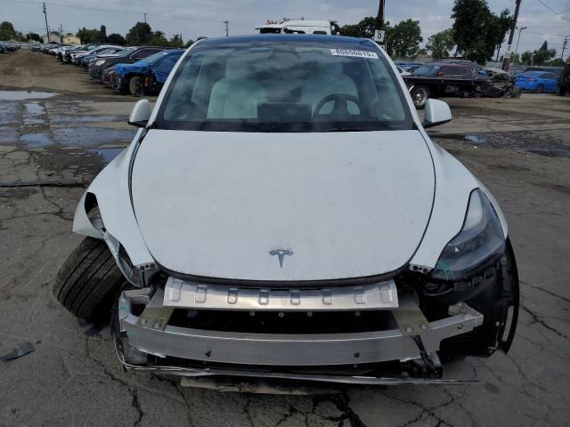 2023 TESLA MODEL Y #3308360279
