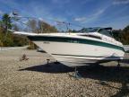 Lot #3297956785 1989 SEA RAY 250 SUNDANCE