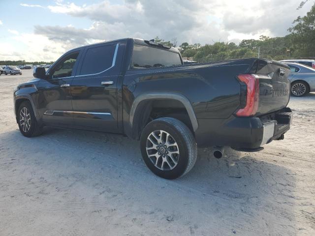 2024 TOYOTA TUNDRA CREWMAX PLATINUM 5TFMA5AB6RX035447