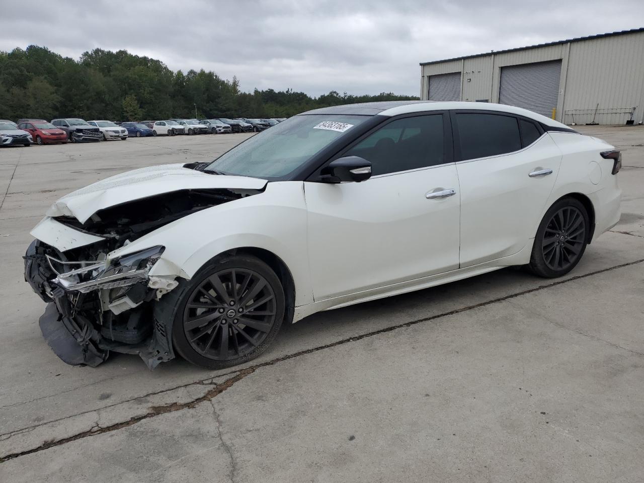 NISSAN MAXIMA PLATINUM