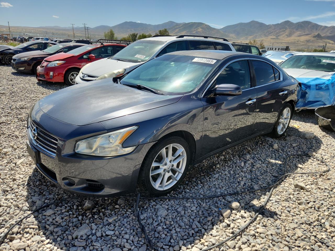 NISSAN MAXIMA S