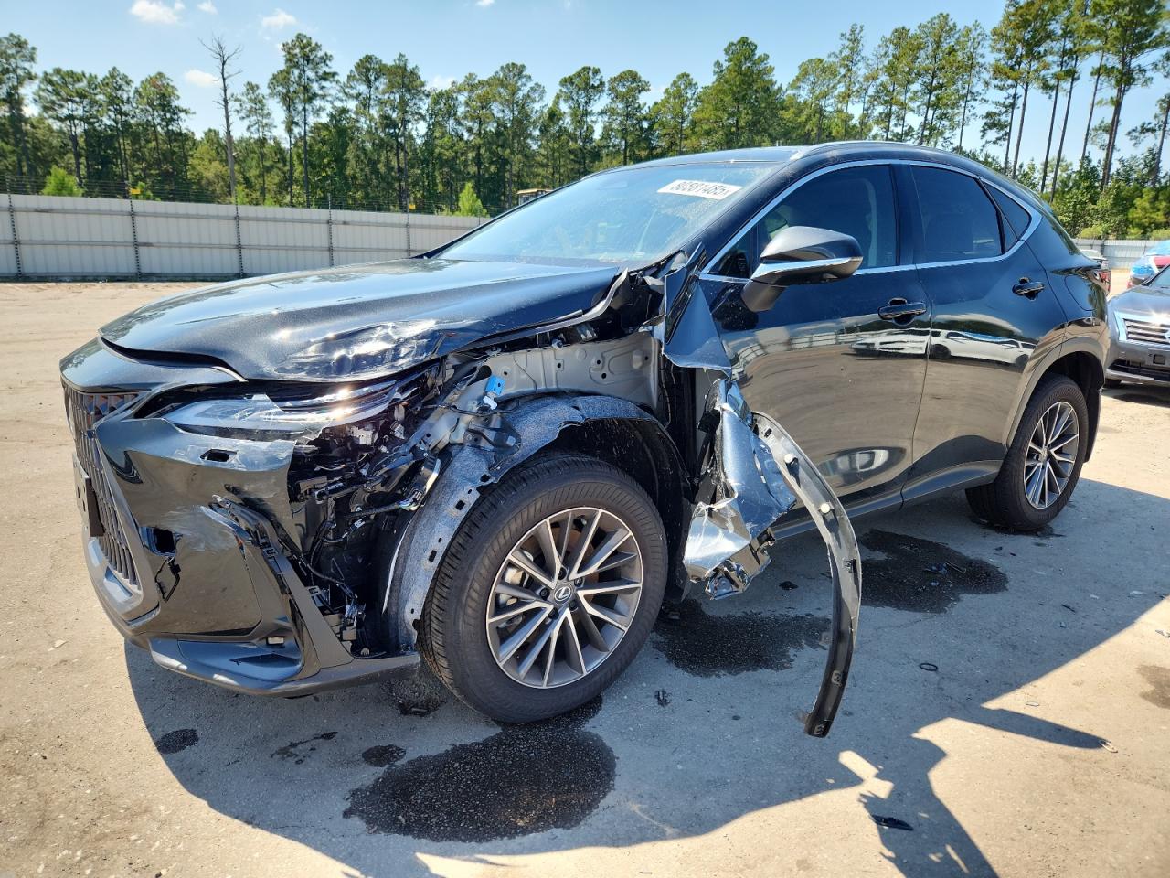 Lot #3309301631 2025 LEXUS NX 350 LUX