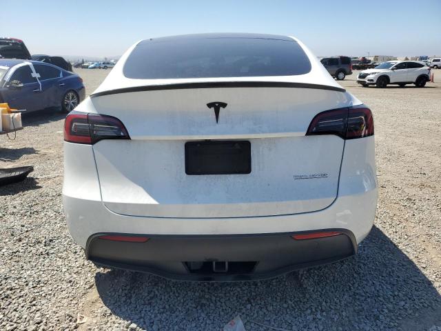 2023 TESLA MODEL Y #3302820905