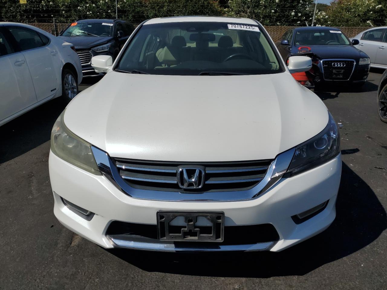 HONDA ACCORD EXL