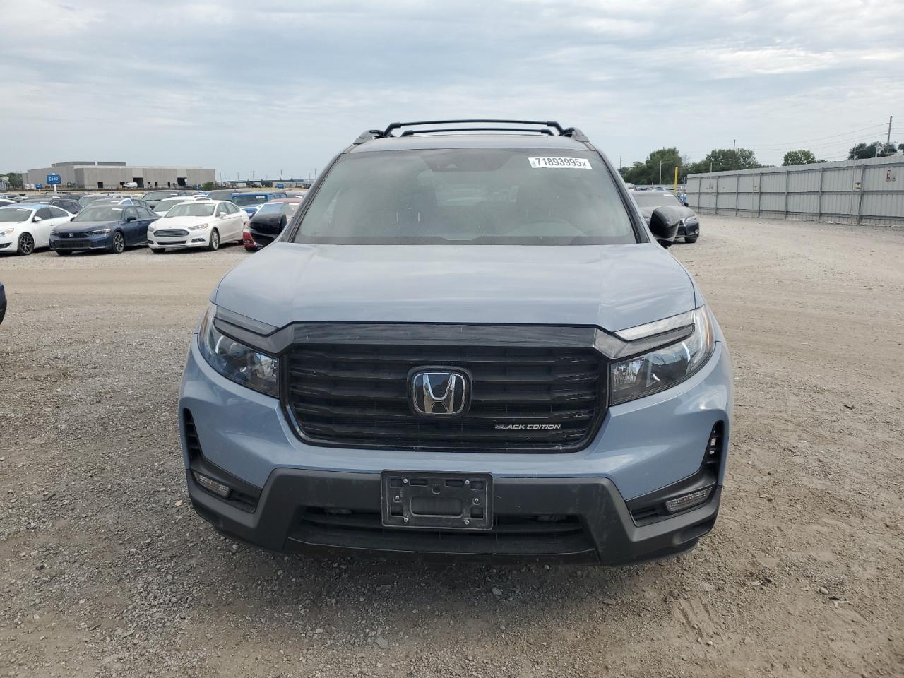 HONDA PASSPORT BLACK EDITION