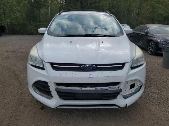 2013 FORD ESCAPE SE - 1FMCU9GX6DUC00349
