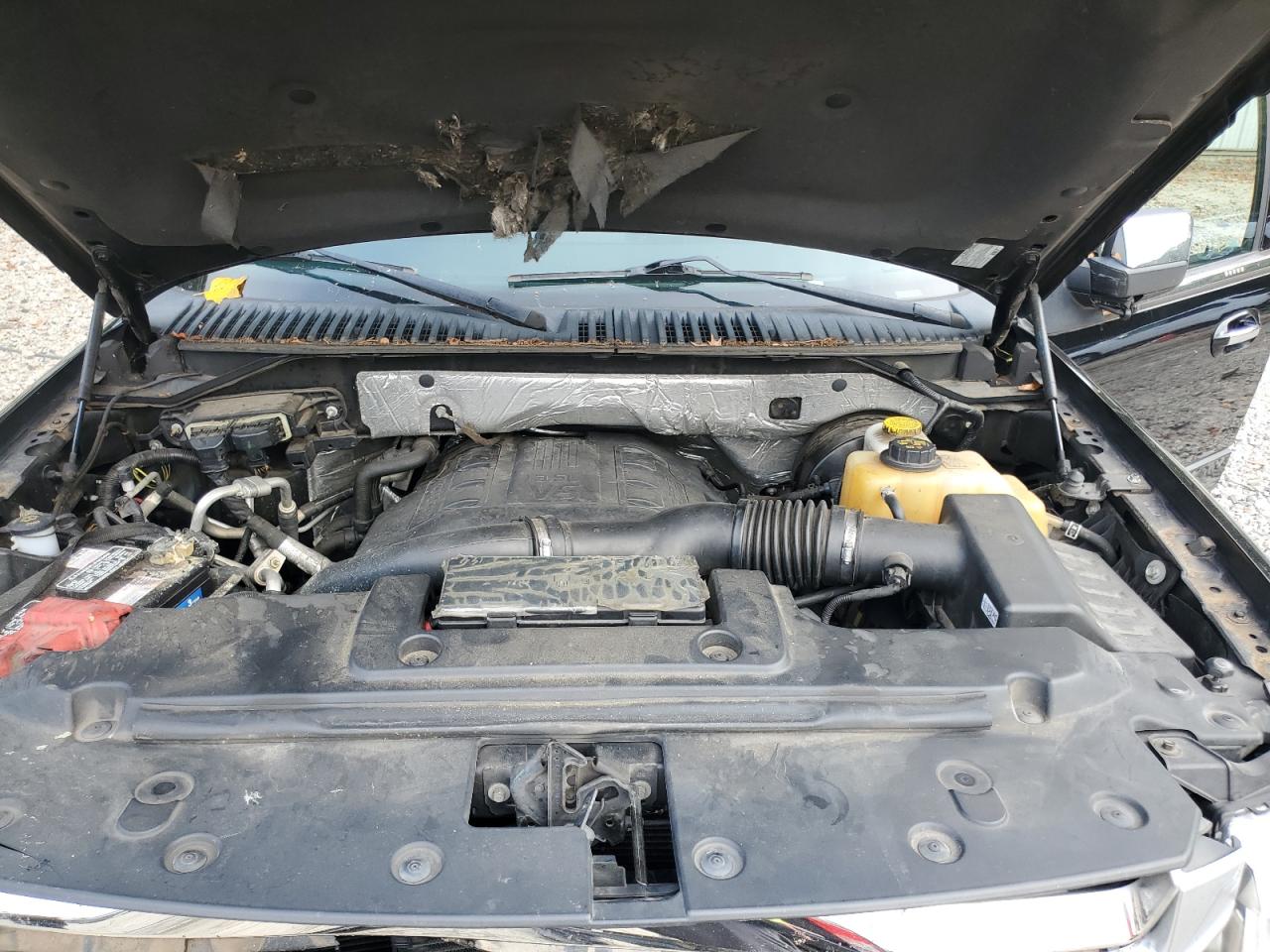 FORD EXPEDITION PLATINUM