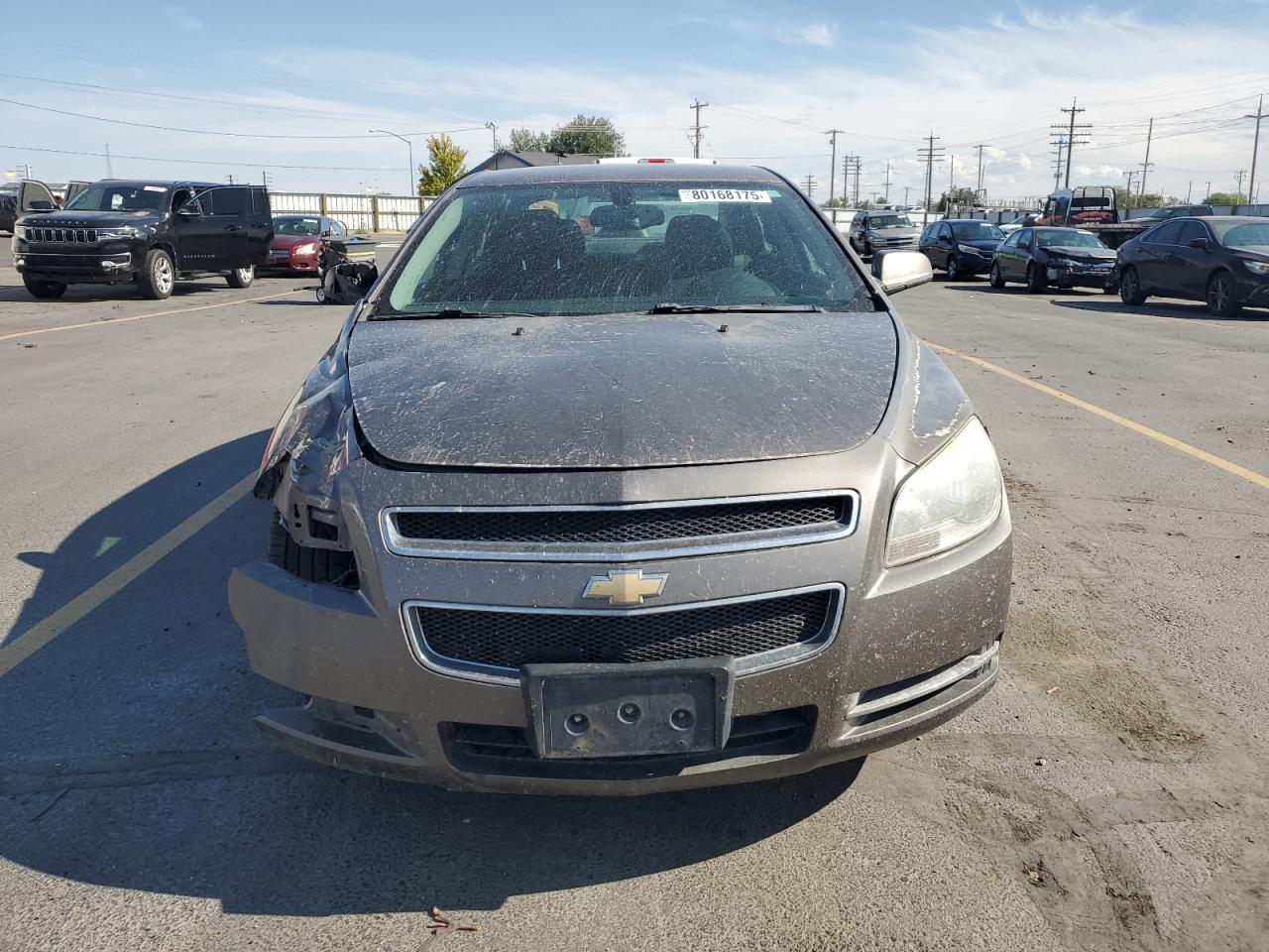 CHEVROLET MALIBU 1LT