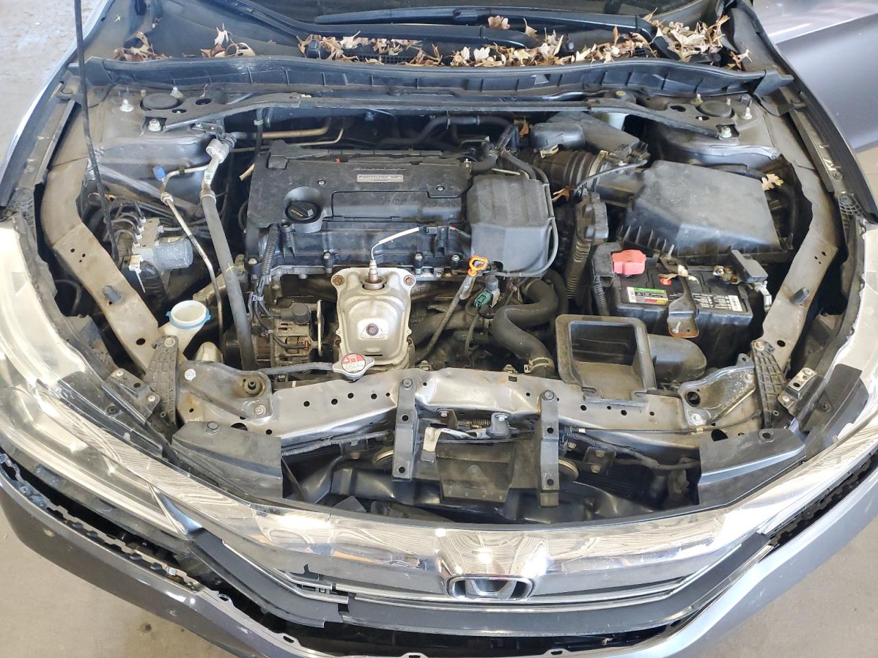 HONDA ACCORD SPORT SPECIAL EDITION