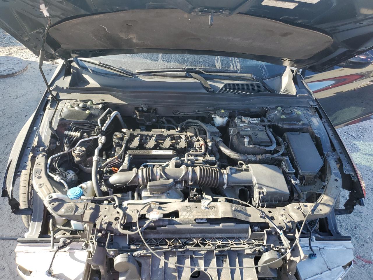 Lot #3317799148 2019 HONDA ACCORD LX