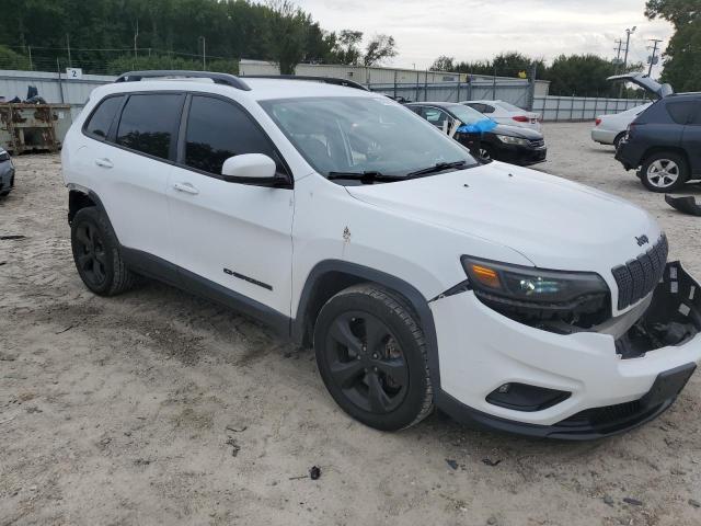 2019 JEEP CHEROKEE L 1C4PJLLX1KD373372
