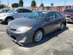 Top Destinations for Shipping Cars from the USA
